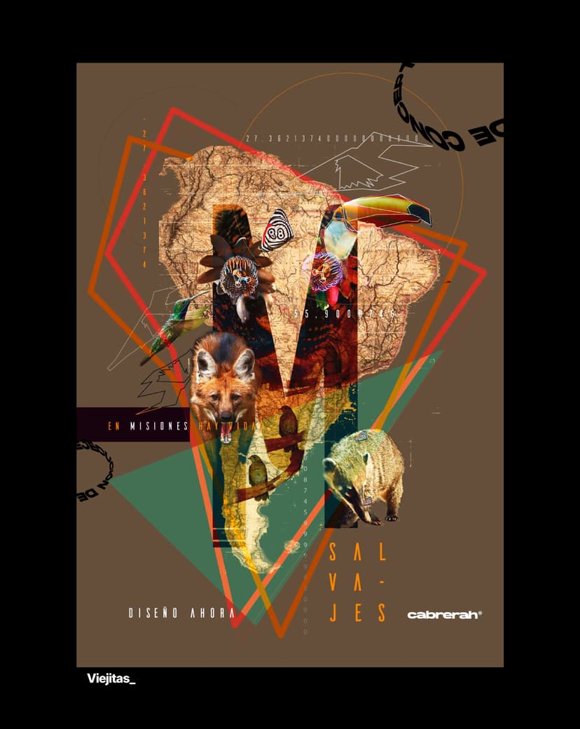 Geometric Composition